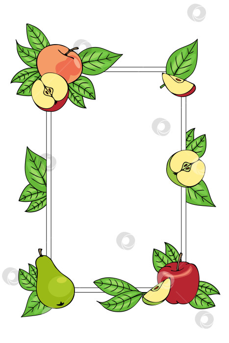 Скачать вертикальная рамка из разноцветных яблок, груш и листьев, нарисованная от руки в мультяшном стиле. Контурный рисунок. фотосток Ozero