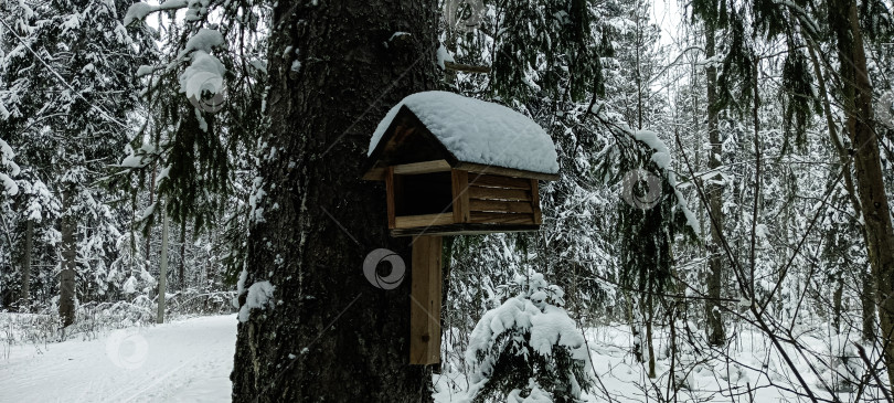 Скачать Скворечник зимой фотосток Ozero