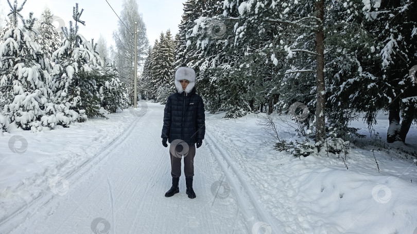 Скачать Зима в лесу фотосток Ozero