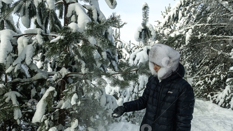 Скачать фотограф любуется сосной фотосток Ozero