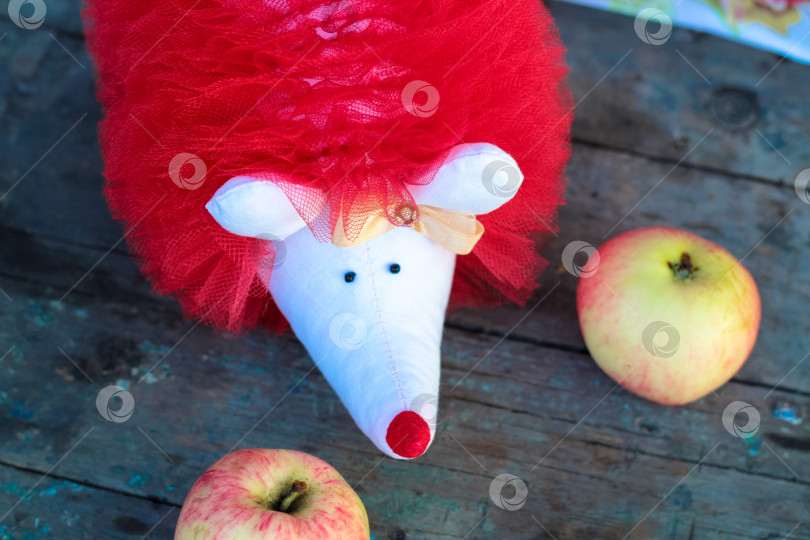 Скачать Ежик с красным яблоком, вид сверху фотосток Ozero