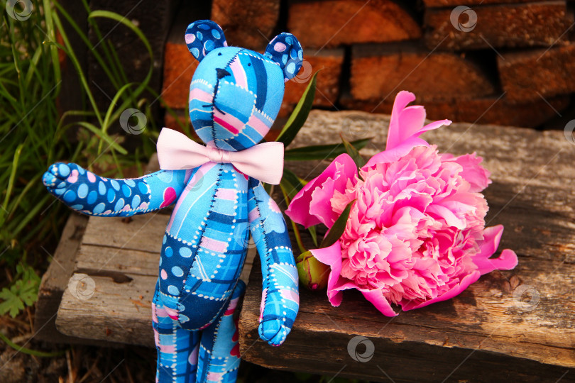 Скачать Плюшевый мишка с пионом, позирующий фотосток Ozero