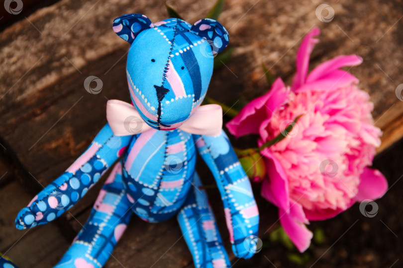 Скачать Сидящий плюшевый мишка с пионом фотосток Ozero