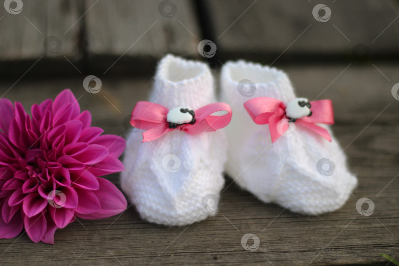 Скачать Цветок и пара детских пинеток с розовыми бантиками фотосток Ozero