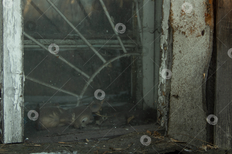 Скачать Забытое пыльное окно со сломанной игрушкой в ветхой раме фотосток Ozero