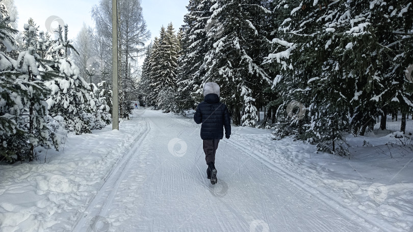 Скачать Пробежка в  зимнем лесу фотосток Ozero