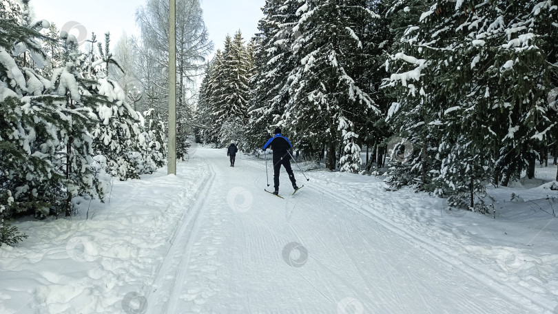 Скачать Пробежка  на лыжах фотосток Ozero