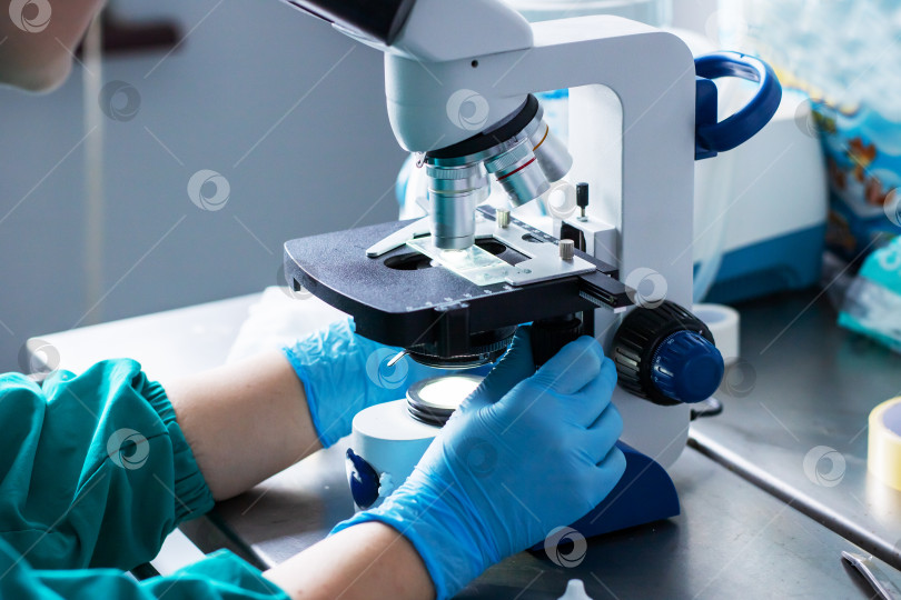 Скачать Методичная калибровка микроскопа для обеспечения детальной точности клинической визуализации фотосток Ozero