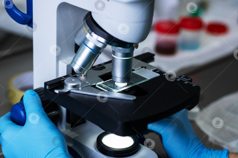 Скачать Тщательное наблюдение за образцом с помощью микроскопа в контролируемых лабораторных условиях фотосток Ozero