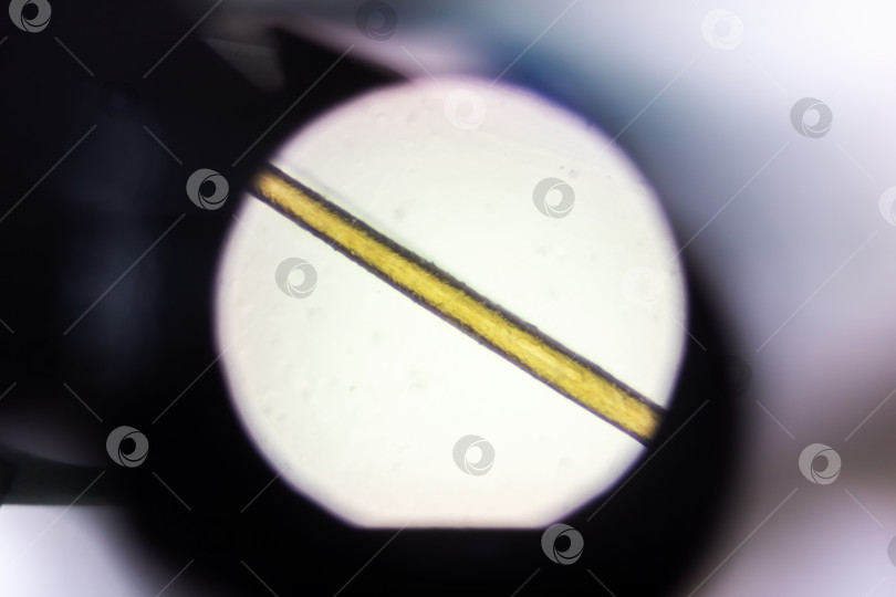 Скачать Крупный план светящегося волокна под увеличением в условиях лабораторного контроля фотосток Ozero