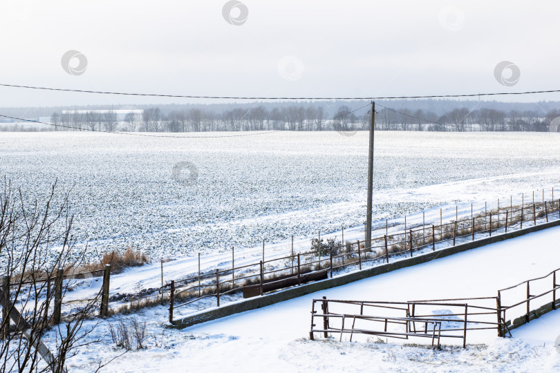 Скачать Безмятежный зимний пейзаж, иллюстрирующий ледяную местность, достигающую далекого горизонта, окутанного снегом фотосток Ozero