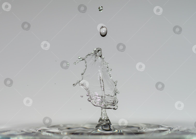 Скачать Капли воды при падении образуют завораживающие прозрачные скульптуры фотосток Ozero