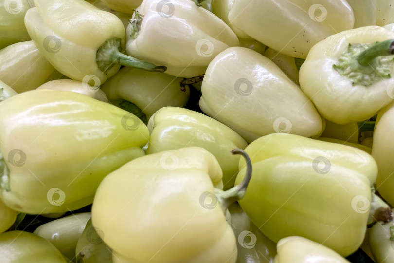 Скачать Зеленый болгарский перец в продуктовом магазине "корзина", фрукты и овощи на рынке фотосток Ozero