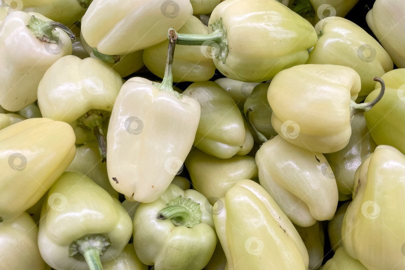 Скачать Зеленый болгарский перец в продуктовом магазине "корзина", фрукты и овощи на рынке фотосток Ozero