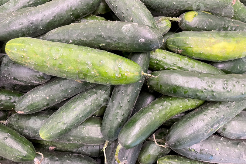 Скачать Огурец в корзине в продуктовом магазине, фрукты и овощи, продаваемые на рынке фотосток Ozero