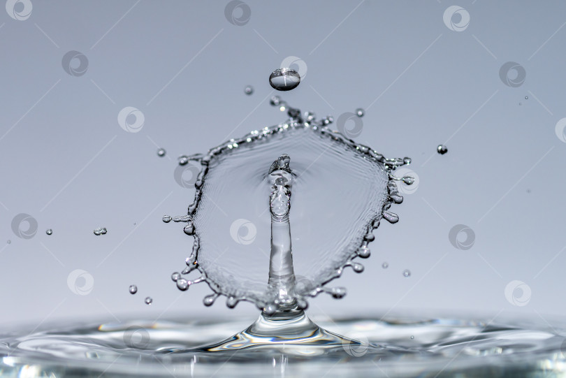 Скачать Капли воды падают с высоты чистой-пречистой воды, образуя брызги в виде оригинальных форм зонтиков, грибов и корон фотосток Ozero