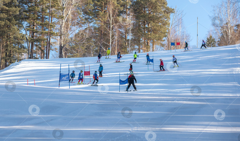 Скачать Россия, Красноярск 25 февраля 2025г. Спортивный тренер и инструктор по лыжному спорту работает со своими учениками на заснеженном горнолыжном склоне. фотосток Ozero
