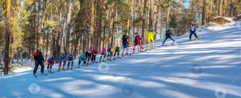 Скачать Россия, Красноярск 25 февраля 2025г. Спортивный тренер и инструктор по лыжному спорту работает со своими учениками на заснеженном горнолыжном склоне. фотосток Ozero