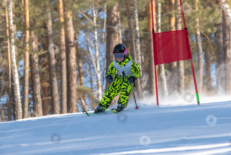Скачать Россия, Красноярск 25 февраля 2025г. Мальчик лыжник, спускается на лыжах по снежному склону. фотосток Ozero