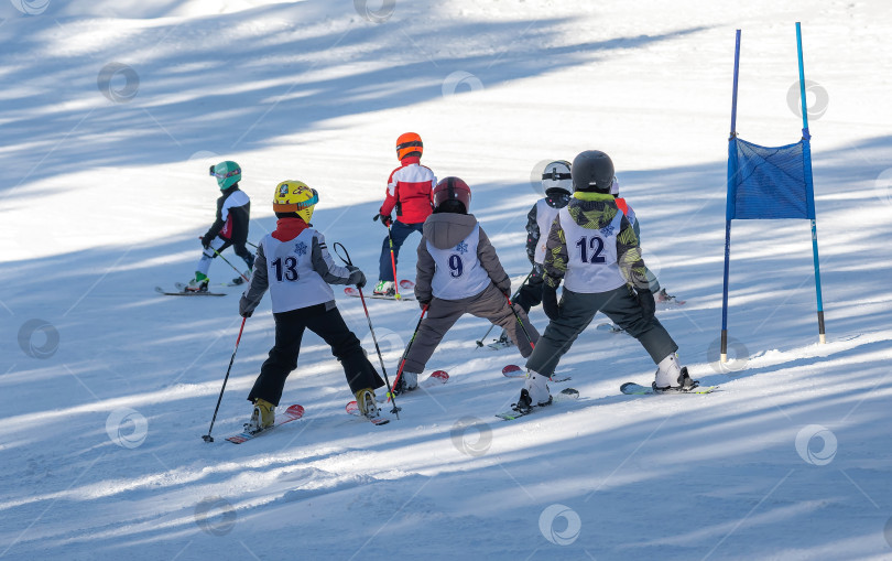 Скачать Россия, Красноярск 25 февраля 2025г. Мальчики лыжники, спускаются на лыжах по снежному склону. фотосток Ozero