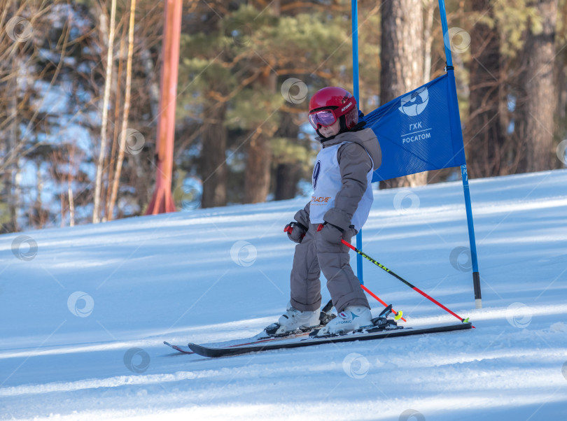 Скачать Россия, Красноярск 25 февраля 2025г. Мальчик лыжник, спускается на лыжах по снежному склону. фотосток Ozero