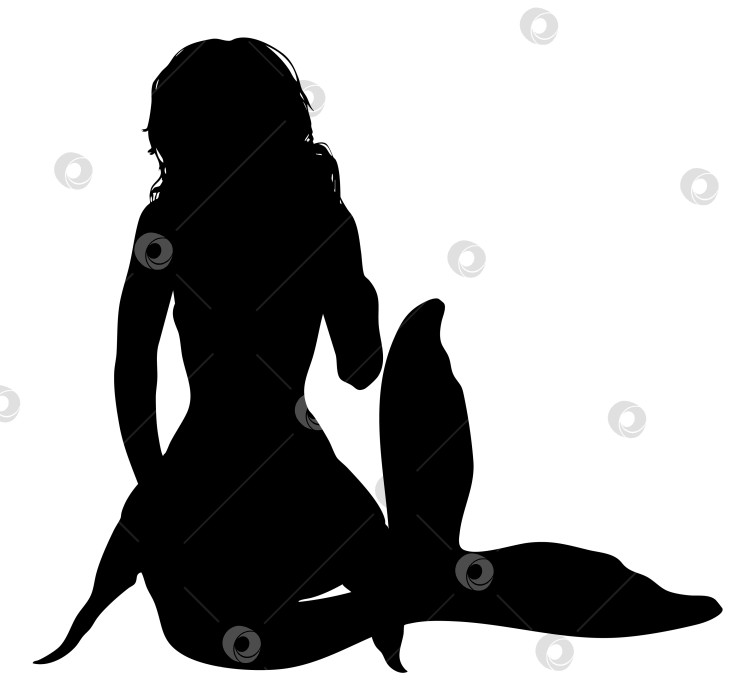 Скачать Силуэт фантастического персонажа-русалки фотосток Ozero