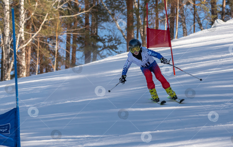 Скачать Россия, Красноярск 25 февраля 2025г. Девочка лыжница, спускается на лыжах по снежному склону. фотосток Ozero