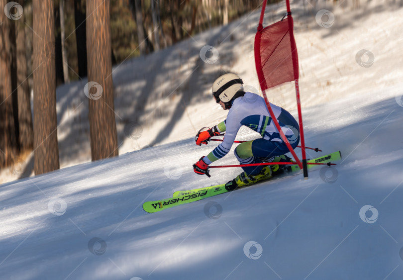 Скачать Россия, Красноярск 25 февраля 2025г. Мальчик лыжник, спускается на лыжах по снежному склону. фотосток Ozero