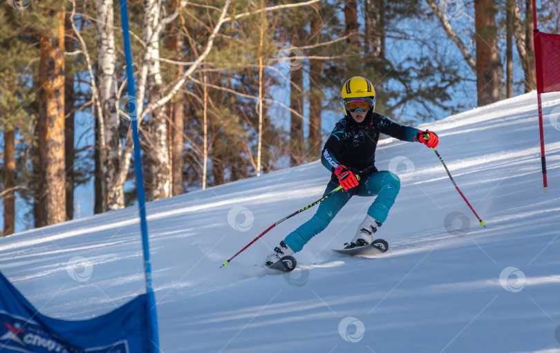 Скачать Россия, Красноярск 25 февраля 2025г. Мальчик лыжник, спускается на лыжах по снежному склону. фотосток Ozero