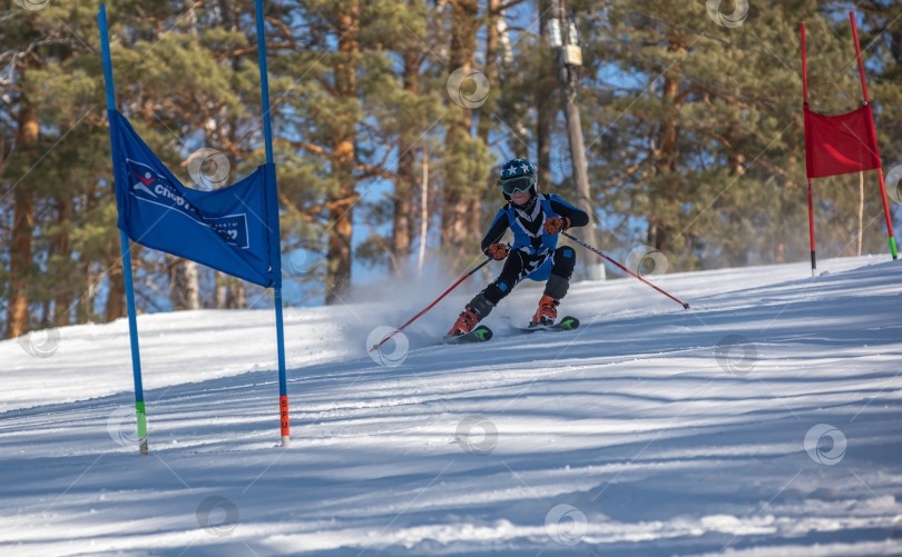 Скачать Россия, Красноярск 25 февраля 2025г. Девочка лыжница, спускается на лыжах по снежному склону. фотосток Ozero