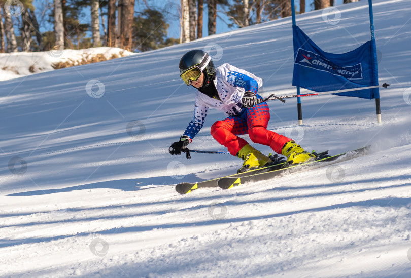 Скачать Россия, Красноярск 25 февраля 2025г. Мальчик лыжник, спускается на лыжах по снежному склону. фотосток Ozero