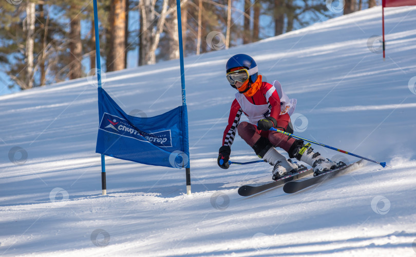 Скачать Россия, Красноярск 25 февраля 2025г. Мальчик лыжник, спускается на лыжах по снежному склону. фотосток Ozero