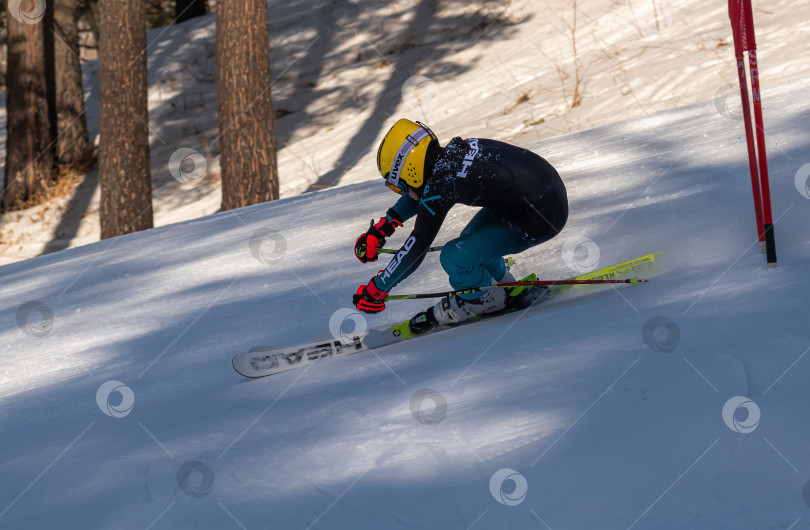 Скачать Россия, Красноярск 25 февраля 2025г. Мальчик лыжник, спускается на лыжах по снежному склону. фотосток Ozero