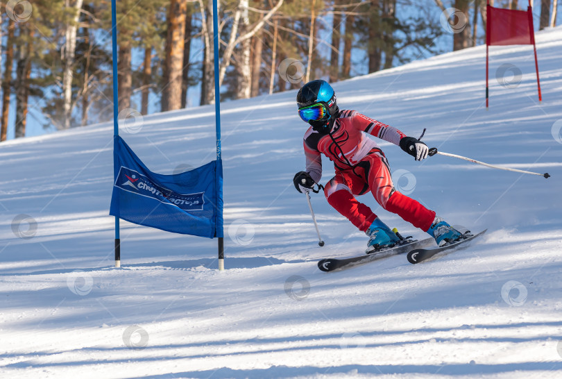 Скачать Россия, Красноярск 25 февраля 2025г. Мальчик лыжница, спускается на лыжах по снежному склону. фотосток Ozero