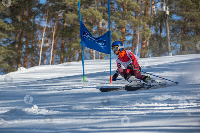 Скачать Россия, Красноярск 25 февраля 2025г. Мальчик лыжник, спускается на лыжах по снежному склону. фотосток Ozero