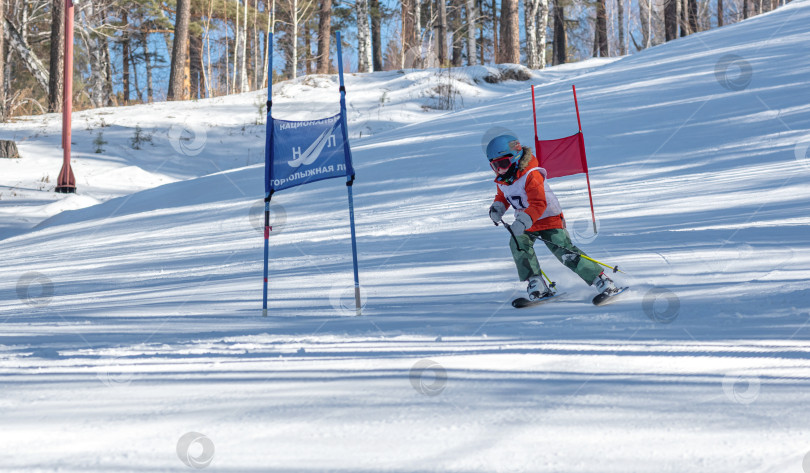 Скачать Россия, Красноярск 25 февраля 2025г. Мальчик лыжник, спускается на лыжах по снежному склону. фотосток Ozero