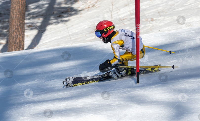 Скачать Россия, Красноярск 25 февраля 2025г. Мальчик лыжник, спускается на лыжах по снежному склону. фотосток Ozero
