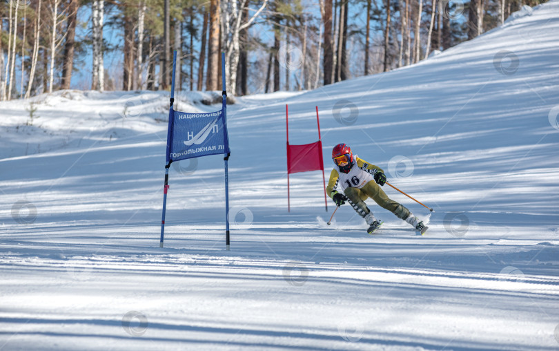 Скачать Россия, Красноярск 25 февраля 2025г. Мальчик лыжник, спускается на лыжах по снежному склону. фотосток Ozero