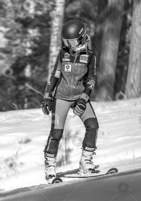 Скачать Россия, Красноярск 25 февраля 2025г. Девочка лыжница, спускается на лыжах по снежному склону. фотосток Ozero