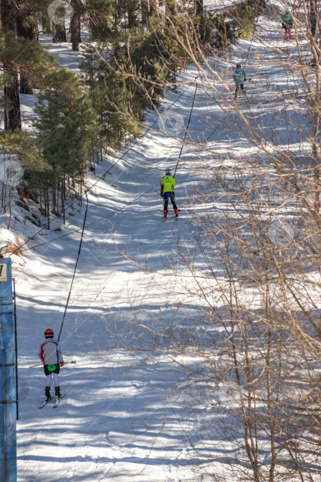 Скачать Россия, Красноярск 25 февраля 2025г. Лыжники поднимаются на лыжном подъёмнике фотосток Ozero
