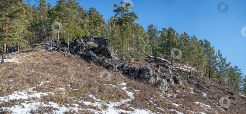 Скачать Скалистый холм с камнями и редкой травой, покрытой пятнами снега. фотосток Ozero