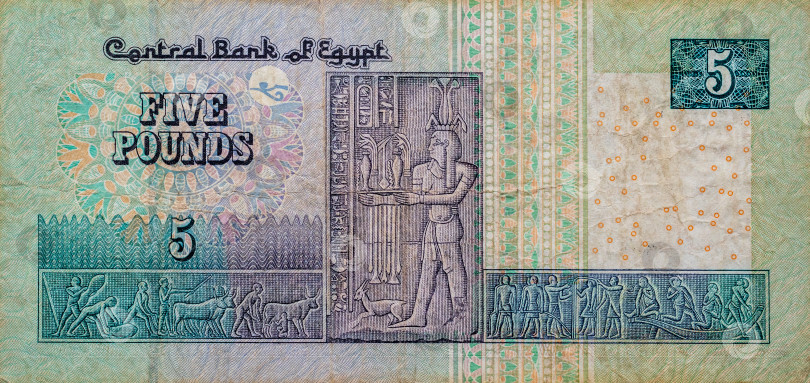 Скачать Россия,Сибирь 09 июня 2022 год. египетская банкнота номиналом 5 фунтов. фотосток Ozero