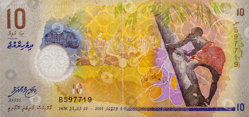 Скачать Россия,Сибирь 09 июня 2022 год. банкнота мальдивы 10 руфий фотосток Ozero