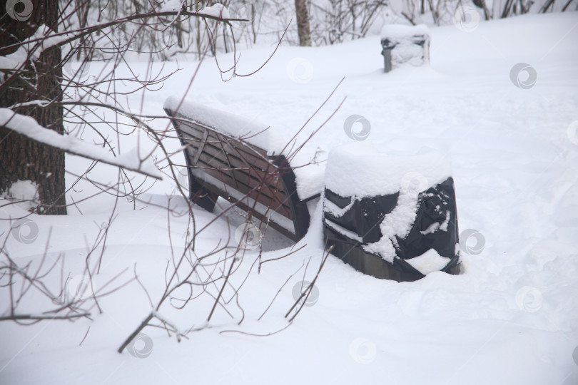 Скачать Пейзаж леса с лавочкой и деревьями в снегу фотосток Ozero