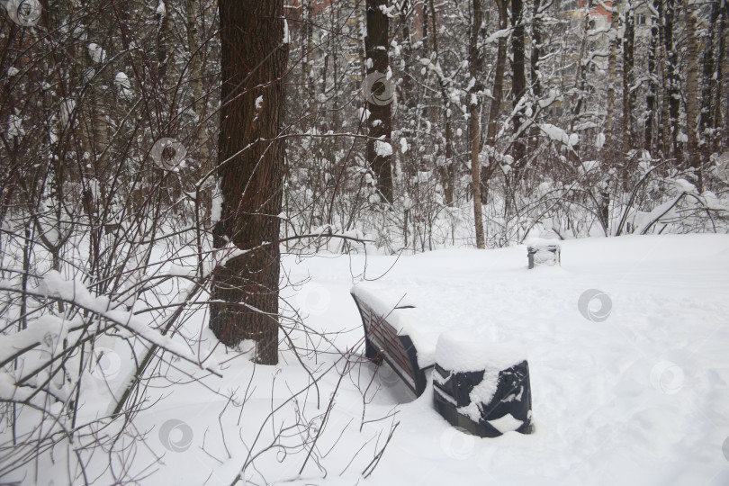Скачать Пейзаж зимнего леса со скамейкой в снегу фотосток Ozero