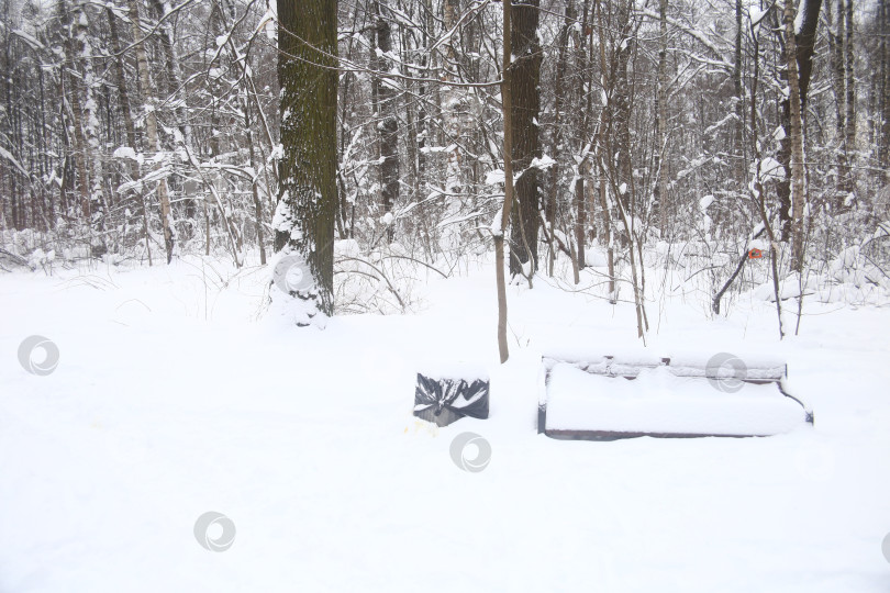 Скачать Пейзаж зимнего леса фотосток Ozero