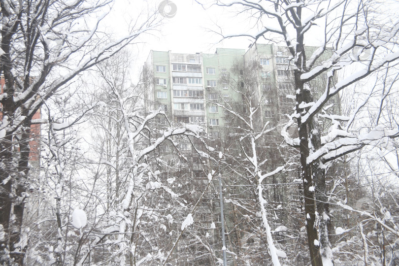 Скачать Пейзаж зимнего леса фотосток Ozero