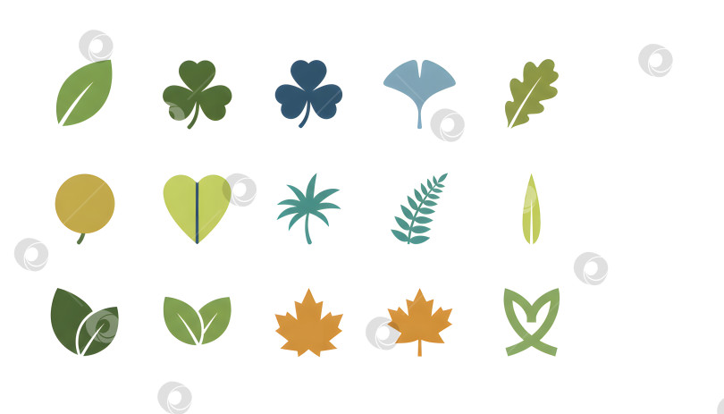 Скачать Коллекция листьев различных форм и цветов, собранных в простую сетку фотосток Ozero