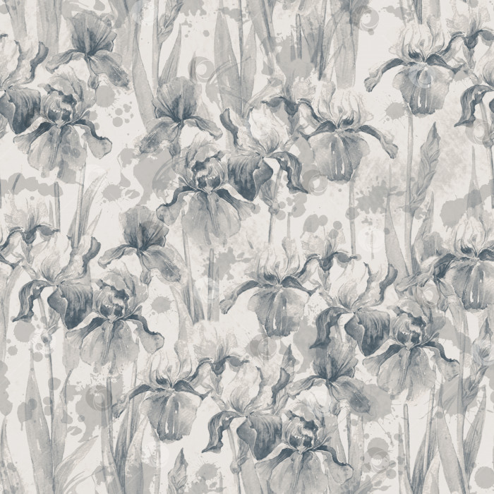 Скачать Летний луг цветы ириса акварельный монохромный бесшовный узор на сером фоне фотосток Ozero