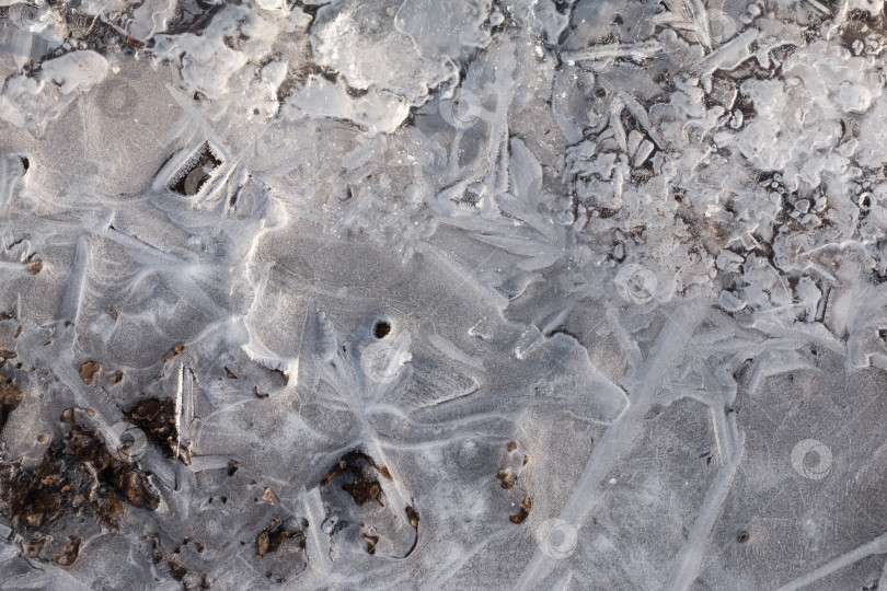 Скачать Макрос тонкого слоя льда с ажурным узором фотосток Ozero